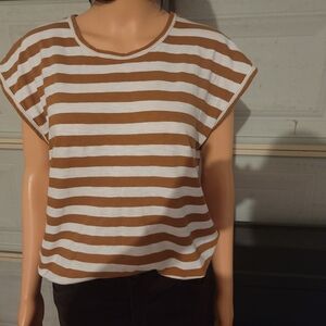 J. Jill Boxy Tan and Brown Short Sleeve Tee